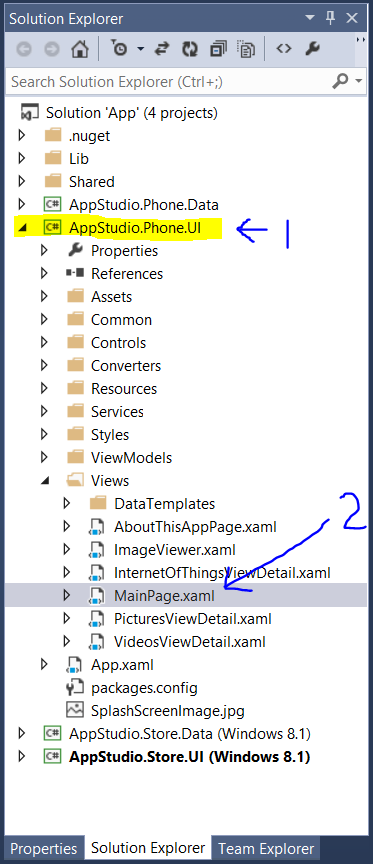 Visual Studio Solution Explorer